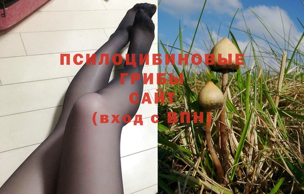 гашиш Новодвинск