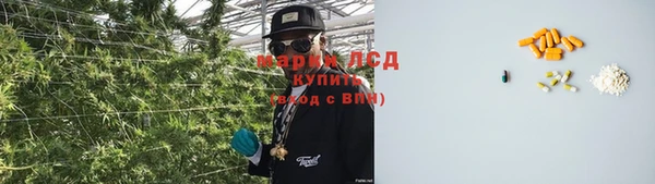 дурь Новозыбков