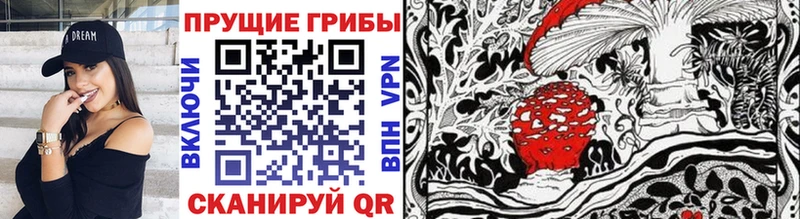 мега вход  Калязин  Псилоцибиновые грибы MAGIC MUSHROOMS 